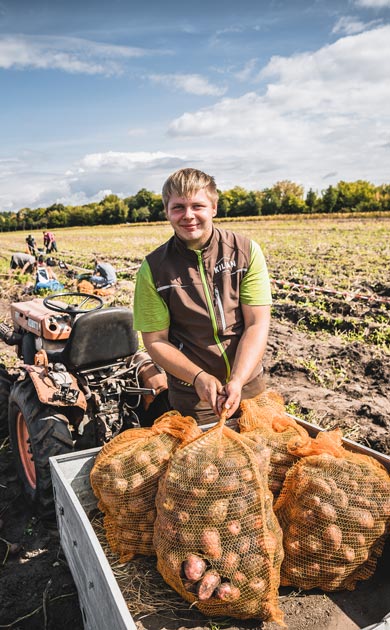 Männer bei der Ernte