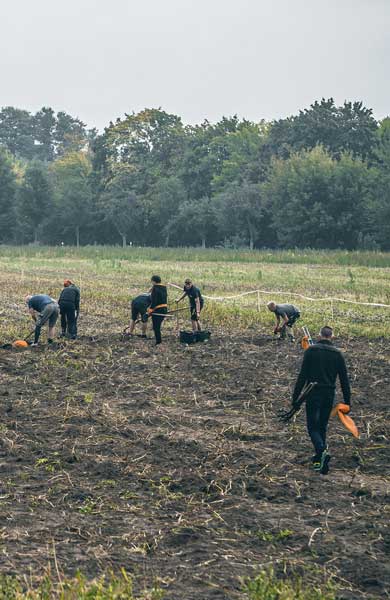 Männer bei der Ernte