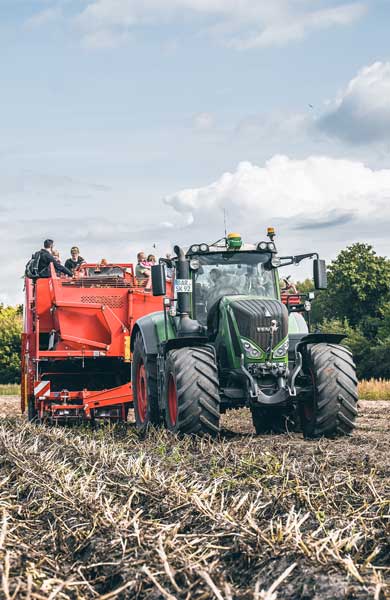 Männer bei der Ernte